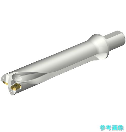 (SANDVIK) DS20-D5080LX38-05 コロドリルDS20刃先取り替えっこ式せん孔機(465) 【1本】