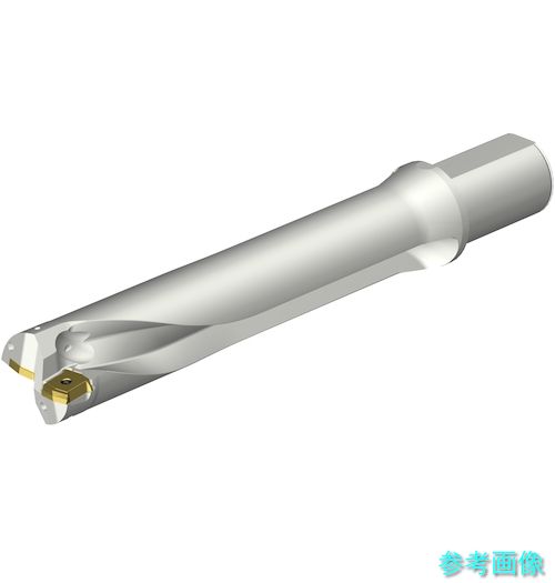 (SANDVIK) DS20-D5400L50-05 コロドリルDS20刃先取り替えっこ式せん孔機(465) 【1本】