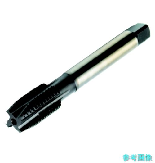 (SANDVIK) T200-MM100IA-M5(C110) コロタップ200 ポイントタップ(780) C110 【1本】