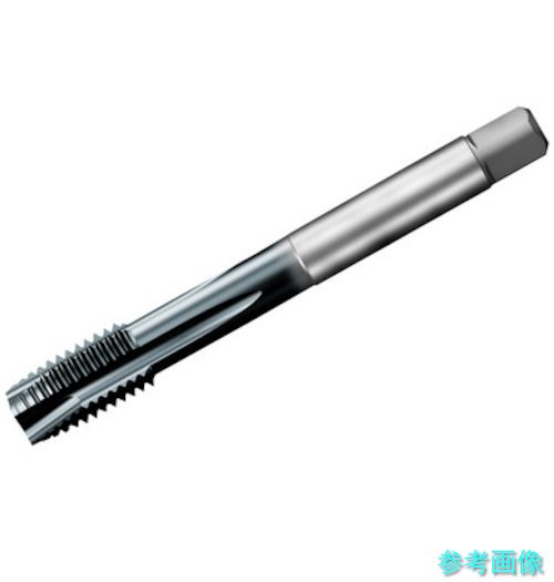 (SANDVIK) T200-PD101DA-M20(D110) コロタップ200 ポイントタップ(780) D110 【1本】｜イーキカイ　店
