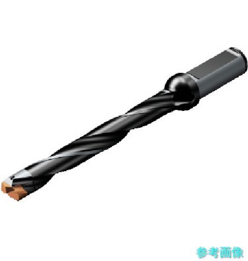 (SANDVIK) 870-1600-16L20-8 コロドリル870 尖端取り替えっこ式せん孔機(446) 【1本】