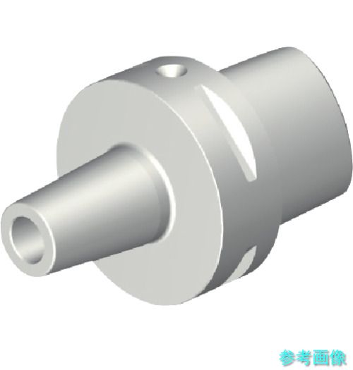 (SANDVIK) C10-391.19-20 100 コロマントキャプト 焼きばめファスナー(530) 【1台】