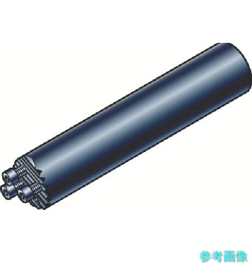 (SANDVIK) SL-3C 25 255 コロターンSL(430) 【1個】