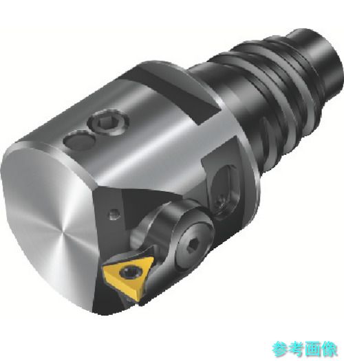 (SANDVIK) 825-29TC06-EH20 コロボア825(530) 【1個】