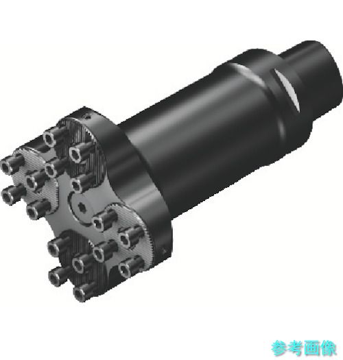 (SANDVIK) C5-4-SL32 093 125-AX コロマントキャプト コロターンSL突き抜く働き口(410) 【1個】