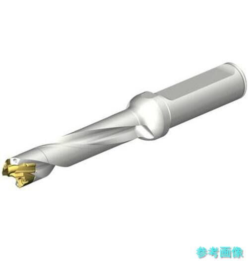 (SANDVIK) DE10-D1300-130L16-5 CoroDrill DE10ヘッド交換式ドリル 13-13.49mm(446) 【1本】 35,131円
