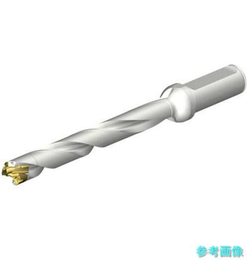 (SANDVIK) DE10-D1600-160L20-8 CoroDrill DE10ヘッド交換式ドリル 16-16.99mm(446) 【1本】
