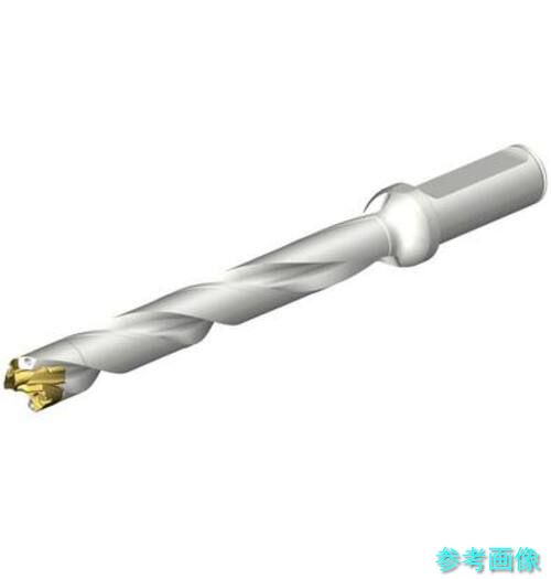 (SANDVIK) DE10-D1700-170LX19-8 CoroDrill DE10ヘッド交換式ドリル 17-17.99mm(446) 【1本】