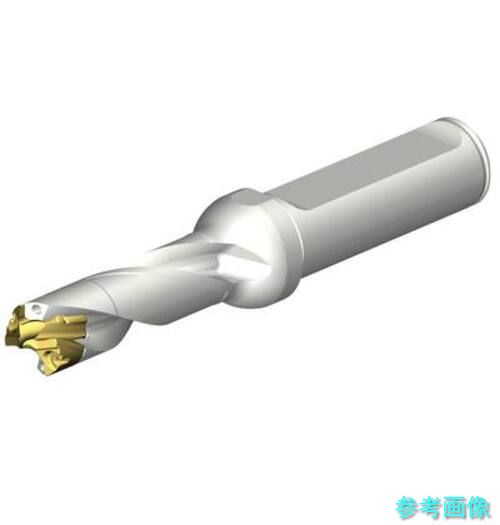 (SANDVIK) DE10-D1300-130LX16-3 CoroDrill DE10ヘッド交換式ドリル 13-13.49mm(446)｜イーキカイ　店