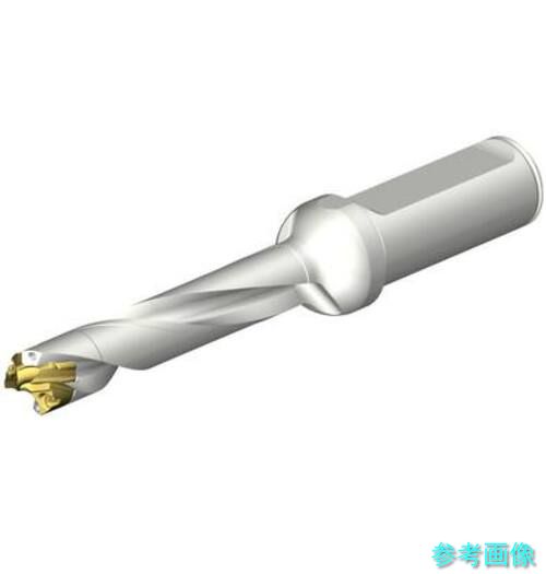 (SANDVIK) DE10-D1400-140L20-5 CoroDrill DE10ヘッド交換式ドリル 14-14.99mm(446)|イーキカイ 店