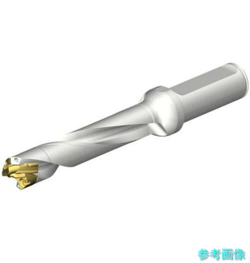 (SANDVIK) DE10-D1700-170LX19-5 CoroDrill DE10上端取り替えっこ式せん孔機 17-17.99粍(446) 【1本】