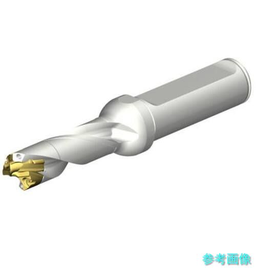 (SANDVIK) DE10-D1300-130L16-3 CoroDrill DE10ヘッド交換式ドリル 13-13.49mm(446) 【1本】