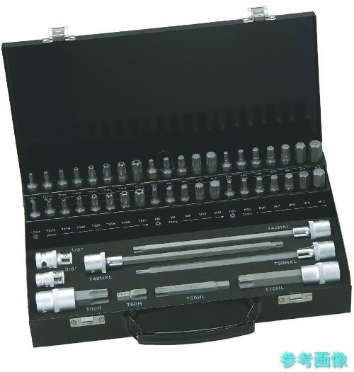 BAHCO BE5049 車輌整備用工具セット ソケットビット+ビット 49本 【1Ｓ(49本)】｜イーキカイ　店