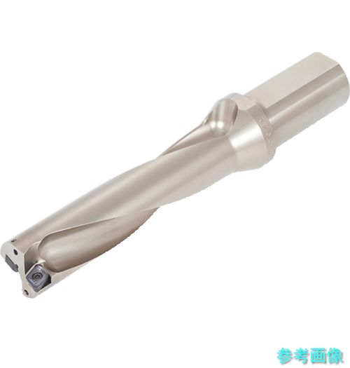 タンガロイ TDX245F25-4 タングドリルツイステッド TDX-F(L/D\u003d4) 穴あけ工具用アクセサリー-花・ガーデン・DIY