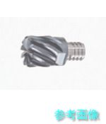 タンガロイ VEE200L15.0C20-10S12(AH750) タング・マイスター用頭顱 四角い手合い 難削材処理用 VEE AH750 【2個】 その他-花・ガーデン・DIY