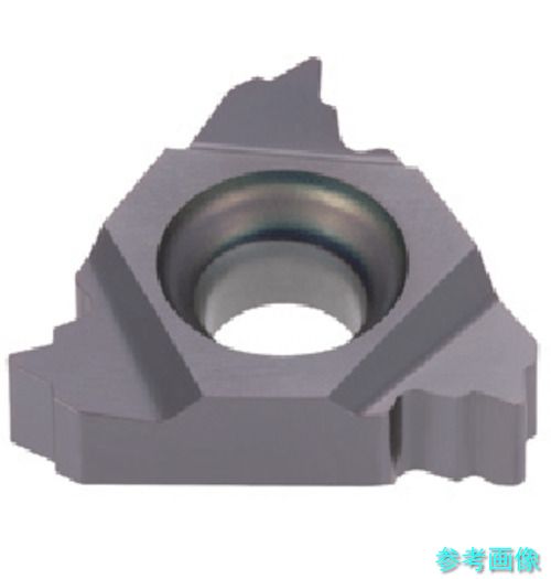 タンガロイ 16ER14PT(T313V) タング・スレッド 外径用PTねじインサート ER/L-PT T313V 【5個】｜イーキカイ　店