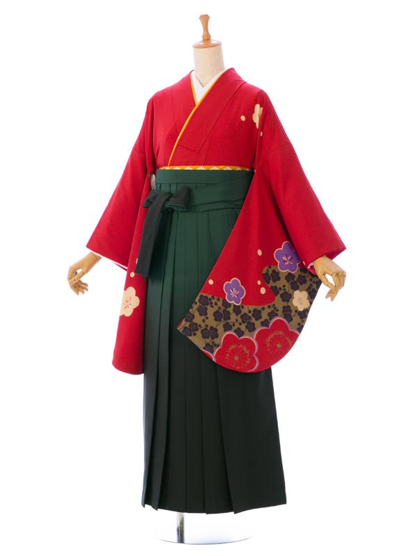 【レンタル】レンタル袴 卒業式 袴 セット 着物 袴セット 女 卒業袴 貸衣装 女袴 袴レンタル 女性 ジュニア袴 袴 レンタル ☆新品足袋プレゼント☆ 女袴/着物レンタル R852_E-H052-23-7