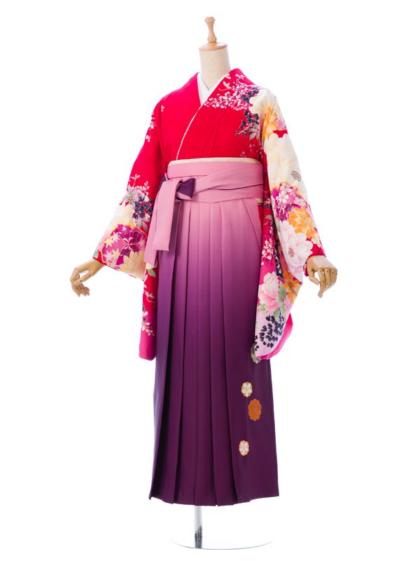 【レンタル】レンタル袴 着物 卒業袴 貸衣装 貸衣裳 女袴 袴 レンタル 新品足袋プレゼント 女袴/着物レンタル 卒業袴セットレンタル R1188_HDL1188 紫ピンクぼかし2.5