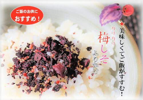 【送料無料】カリカリ梅しそふりかけ季折50g×2個セットふりかけおむすび混ぜご飯まぜご飯の素お弁当パスタ玉子焼きお茶漬けごはんのお供カリカリ梅赤しそ