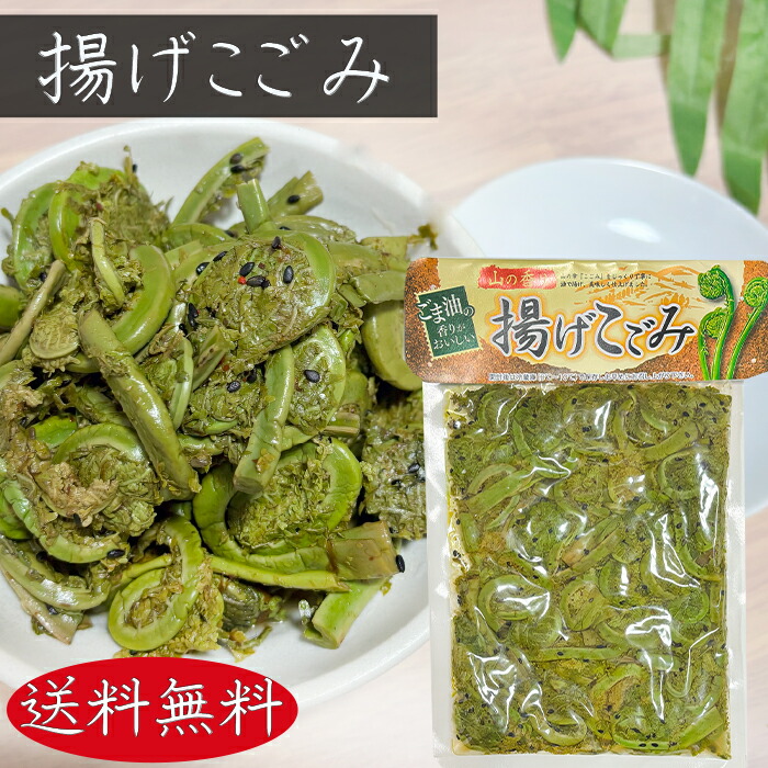 山形県産 コゴミ塩漬け 5kg(1kg×5袋) 塩蔵　こごみ　山菜　野菜 山形県産 コゴミ塩漬け 900g 塩蔵 こごみ 山菜 野菜 - メルカリ