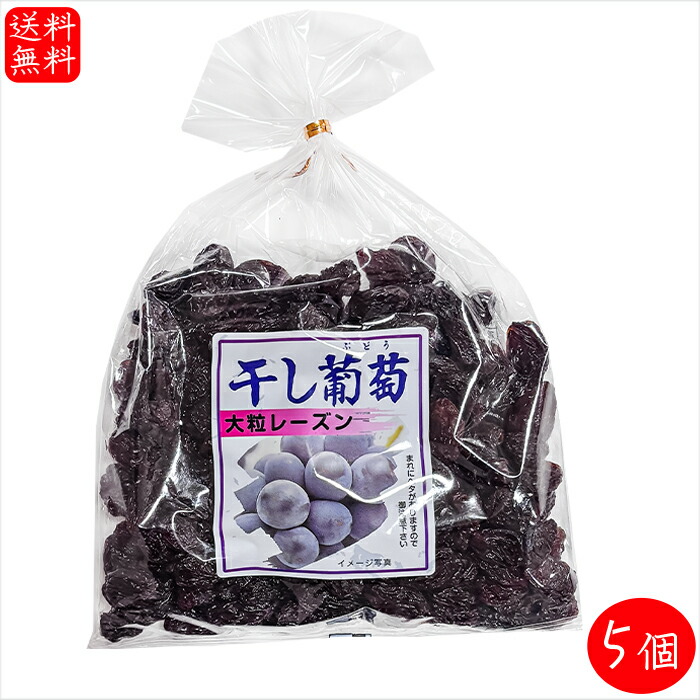 偽干葡萄 楽天市場】干し葡萄 370g 添加物不使用 ドライフルーツ 干しぶどう