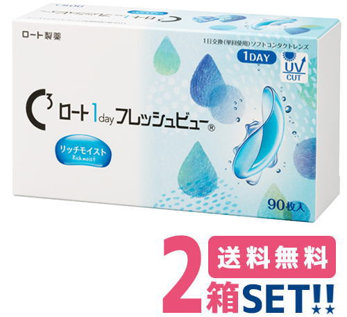 ロート ワンデーフレッシュビューリッチモイスト 【2箱】（1箱90枚入り）【送料無料】ROTHO 1day Flesh View Rich Moist 1日使い捨てコンタクトレンズ ワンデータイプ