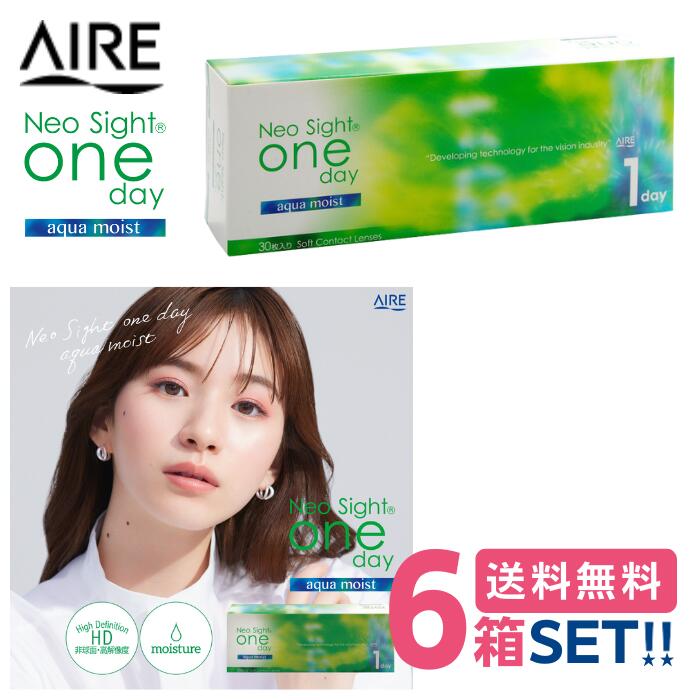アイレ ネオサイトワンデーアクアモイスト【6箱】(1箱30枚入り口・入口)【製造業者直送貨物輸送無料】AIRE NeoSight1dayAquaMoist 1日使い捨て 読みやすい接点 白宮みずほ