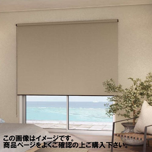 【LINEクーポン配布中】ロールスクリーン ディアリオ遮光ウォッシャブル 幅25~40×高さ30~90cm [RSHDSW25-40-30-90] 立川機工タチカワ 変更キャンセル不可 メーカー直送