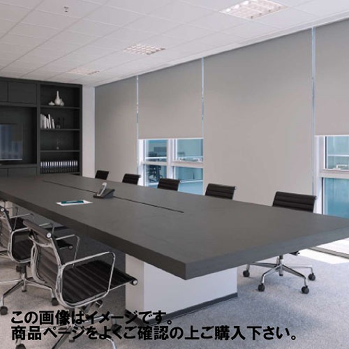 【LINEクーポン配布中】ロールスクリーン ノーテ遮光2級防炎 幅25~40×高さ181~200cm [RSHNT25-40-181-200] 立川機工タチカワ 変更キャンセル不可 メーカー直送