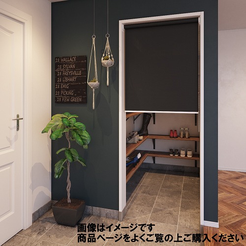 【LINEクーポン配布中】つっぱりロールスクリーン ファーステージココルンベーシック 幅250～409×高さ300～909 [cocorunbasic300-909-250-409] タチカワ メーカー直送