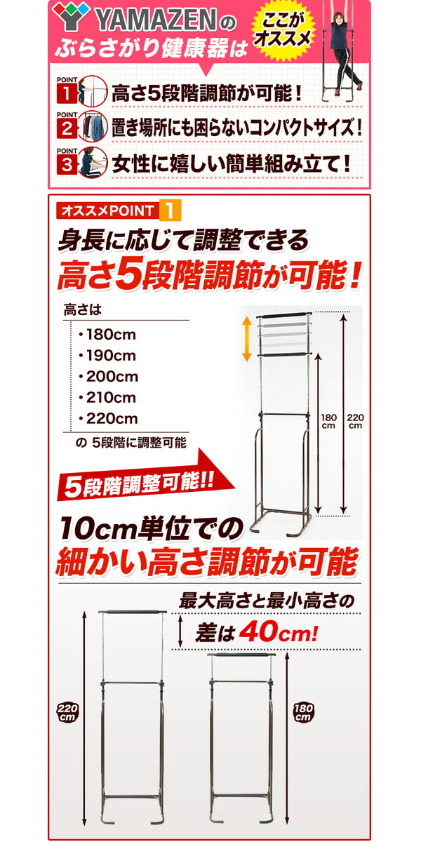 市場 ぶら下がり健康器 ぶら下がり健康機 EXP100 お買い得セット フロアマット BBK-220 DBR ぶらさがり健康器