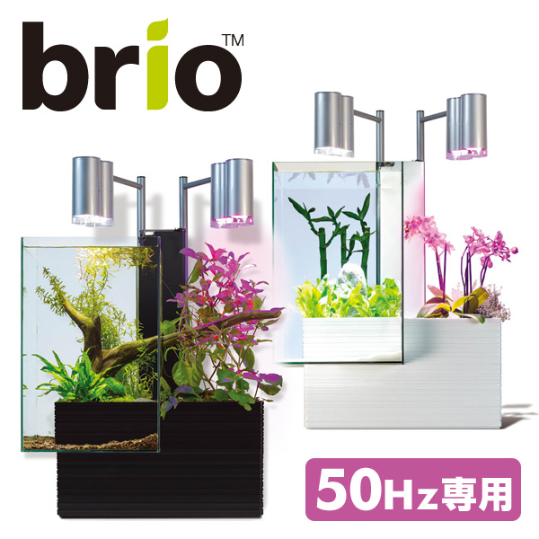 ブリオ35 家庭用 アクアポニックス 水槽 植物 生体 砂利は付属しません