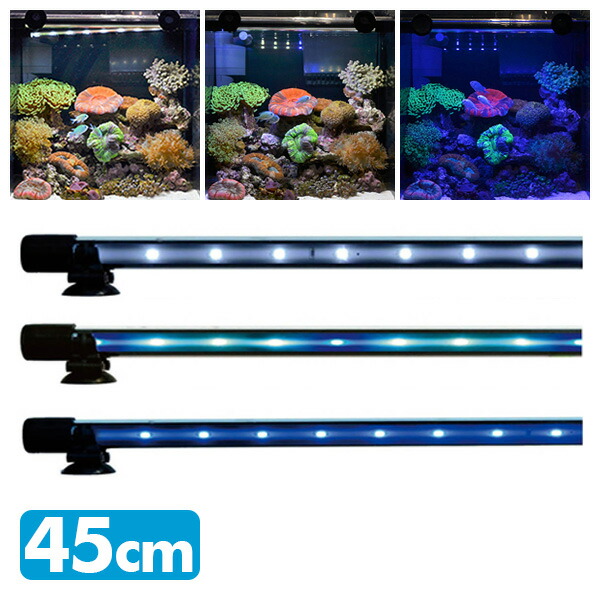 水槽用照明 Ledライト 水陸両用led 水槽の環境に合わせて選べる3色 アクセサリー 45cm 送料無料 照明 熱帯魚 鑑賞魚 アクセサリー 鑑賞魚 アンダーウォーターledスリム アクアリウム ゼンスイ 送料無料 くらしのｅショップ