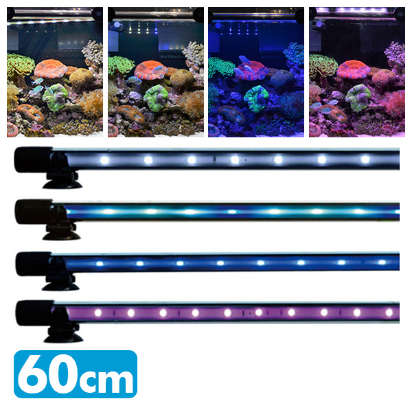 アンダーウォーターledスリム 鑑賞魚 クローゼット Ledライト 水槽用照明 60cm アクセサリー ゼンスイ 熱帯魚 水槽用照明 アクアリウム 送料無料