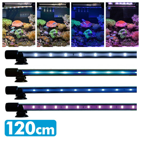 楽天市場 アンダーウォーターledスリム 150cm 水槽用照明 Ledライト 鑑賞魚 熱帯魚 アクアリウム アクセサリー ゼンスイ 送料無料 くらしのｅショップ