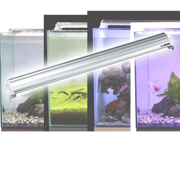 楽天市場 Ledランプ 1cm 水槽用 照明 ライト 水槽用照明 Ledライト 鑑賞魚 熱帯魚 アクアリウム アクセサリー ゼンスイ 送料無料 くらしのｅショップ