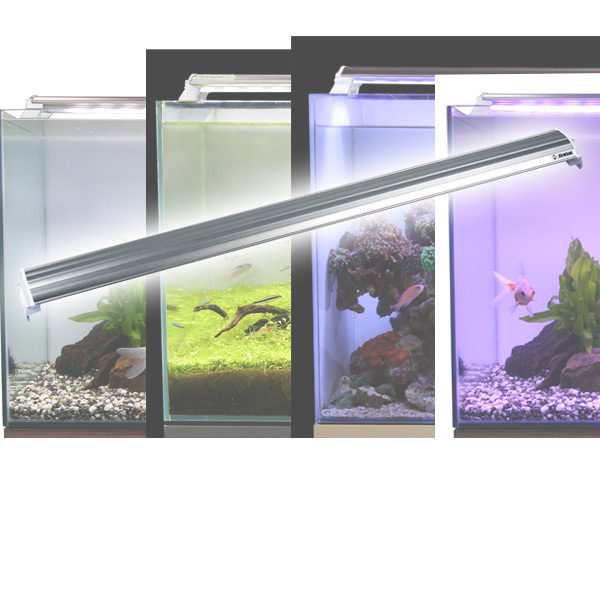 楽天市場 Ledランプ 90cm 水槽用 照明 ライト 水槽用照明 Ledライト 鑑賞魚 熱帯魚 アクアリウム アクセサリー ゼンスイ 送料無料 くらしのｅショップ