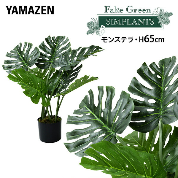 楽天市場】フェイクグリーン モンステラ 高さ35cm FG-MON35 人工