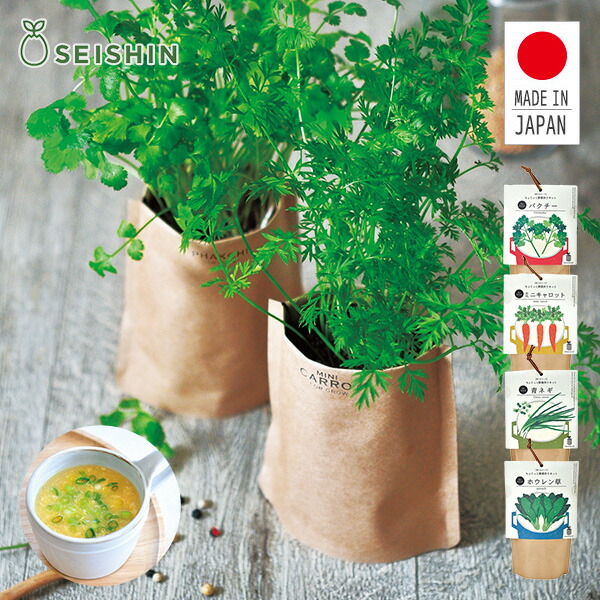 育てるスープ (パクチー ミニキャロット 青ネギ ホウレンソウ) 栽培セット GD-795 日本製 野菜 キット 土セット 家庭菜園 キッチン ガーデニング バルコニー ベランダ 庭 ペーパーバッグ おしゃれ 聖新陶芸 SEISHIN