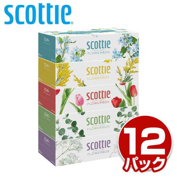 スコッティ 日本製紙クレシア (SCOTTIE) ティッシュペーパー 200
