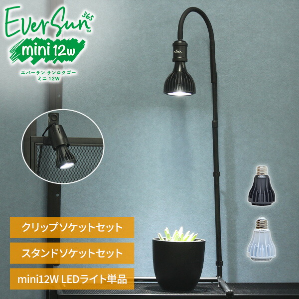 楽天市場】ゼンスイ 植物用 照明 everSun365 エバーサン365 （80