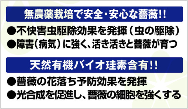 楽天市場 無農薬栽培スプレー 薔薇専用 900ml 無農薬 不快害虫駆除 薔薇 バラ ばら フェルム 送料無料 くらしのｅショップ