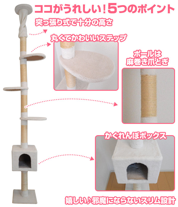 楽天市場 キャットタワー シンプル 突っ張り ホワイト ブラウン