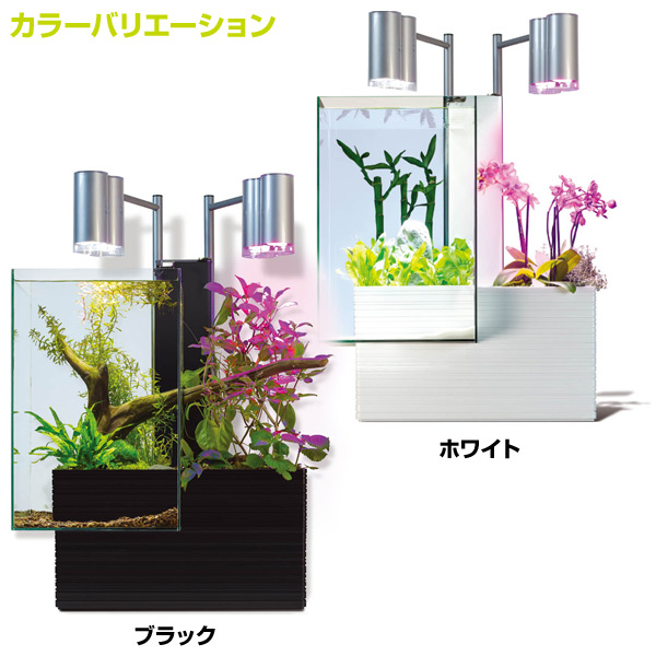 楽天市場 60hz専用 ブリオ35 家庭用 アクアポニックス 水槽 植物 生体 砂利は付属しません 水槽 アクアポニクス インテリア水槽 熱帯魚 観葉植物 金魚 植物 アクアリウムファンタジーワールド 送料無料 くらしのｅショップ