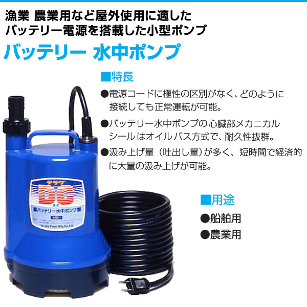 国内初の直営店 12v S12d 80 寺田ポンプ水中ポンプ ボート Williamsav Com