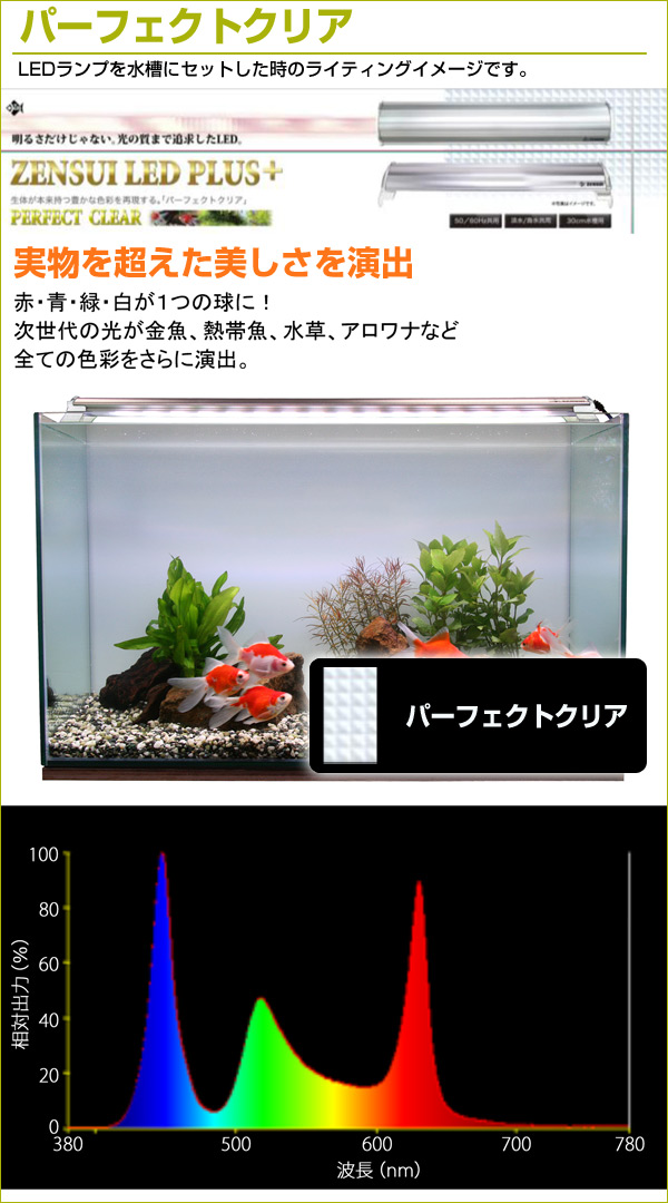 実物を超えた美しさを演出 水槽用ledランプ 180cm用 送料無料 Ledランプ Ledランプ 180cm 熱帯魚 水槽用 水槽用 照明 ライト 水槽用照明 Ledライト 鑑賞魚 熱帯魚 アクアリウム アクセサリー ゼンスイ 送料無料 くらしのｅショップ