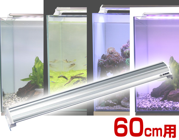 楽天市場 Ledランプ 60cm 水槽用 照明 ライト 水槽用照明 Ledライト 鑑賞魚 熱帯魚 アクアリウム アクセサリー ゼンスイ 送料無料 くらしのｅショップ
