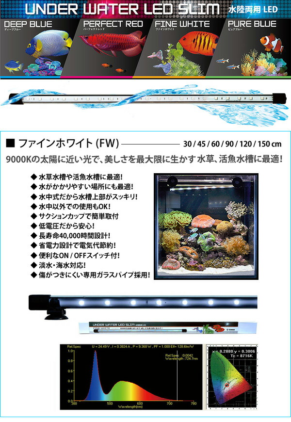 アクアリウム 熱帯魚 送料無料 鑑賞魚 ベッド アクセサリー 座椅子 60cm 通販 アンダーウォーターledスリム ゼンスイ Ledライト くらしのｅショップ 送料無料 水陸両用led 水槽の環境に合わせて選べる4色 水槽用照明