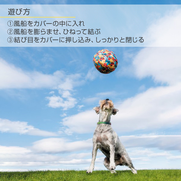 楽天市場 Petbloon ドッグ バルーン 犬 ペットグッズ ペット用品 風船 ボール おもちゃ 玩具 ペット用玩具 犬用品 犬のおもちゃ ボール遊び ドッグトイ Dadway 送料無料 くらしのｅショップ