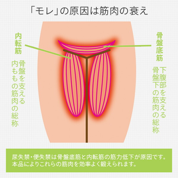 尿失禁 便失禁 簡単 骨盤底筋体操 漏れにくい体作り 骨盤底筋 モレトレ美クス レッド ブラウン 尿漏れ対策 骨盤底筋 トレーニング器具 クッション 尿漏れ 尿失禁 便失禁 メイダイ 送料無料 Butlerchimneys Com